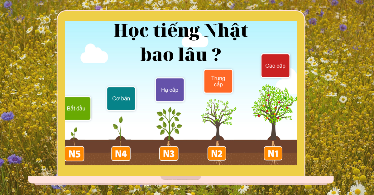 Lo Trinh Hoc Tieng Nhat 1