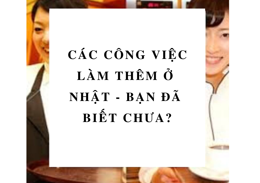 Cac Cong Viec Lam Them Du Hoc Sinh Nhat