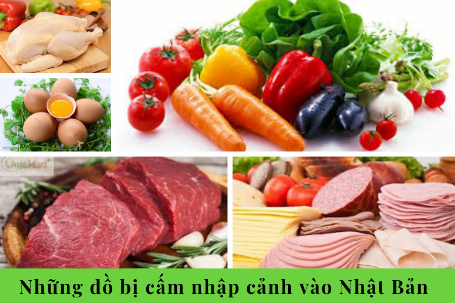 Nhung Do Bi Cam Nhap Canh Vao Nhat